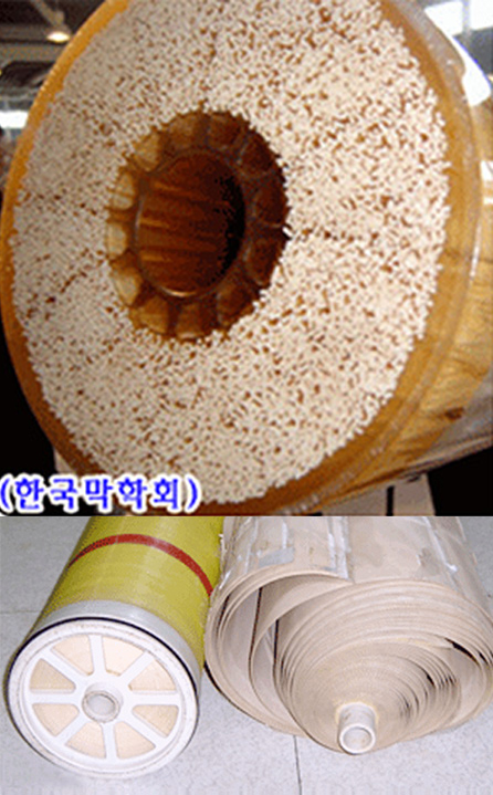 막_분류_이미지